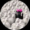 monroescloset10